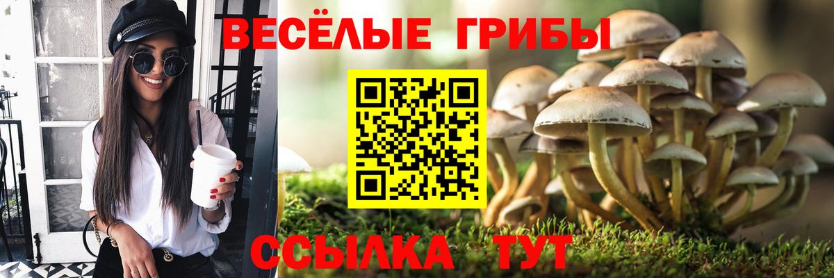 Галлюциногенные грибы прущие грибы Дятьково